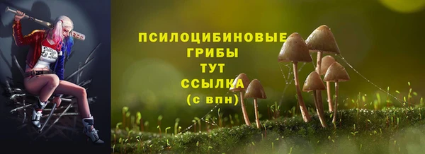 прущий лед Нефтегорск
