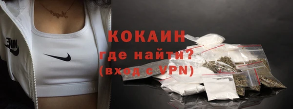 PSILOCYBIN Нея