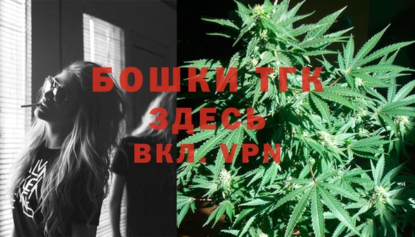 PSILOCYBIN Нея